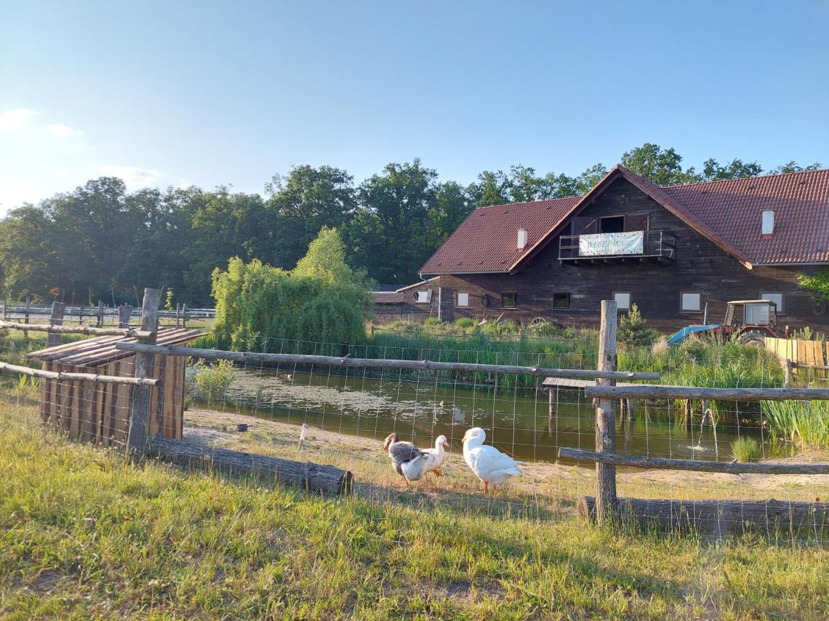 Hotel Stajnia Karczów Exterior foto